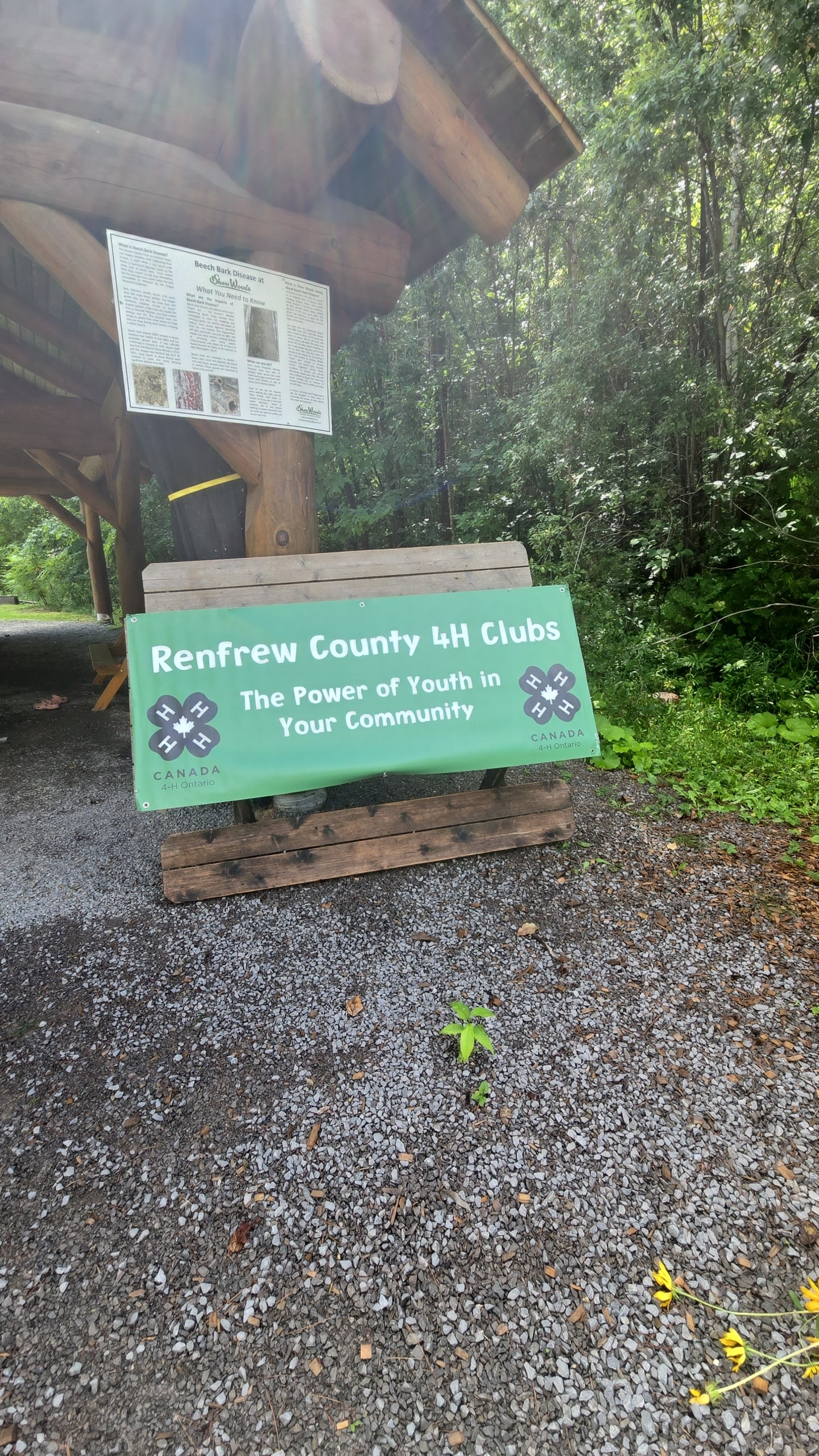 Community photo 8
